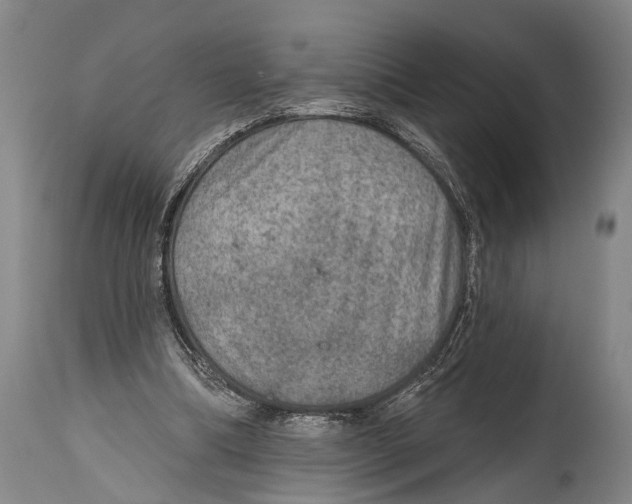 X0000115070298200911171136