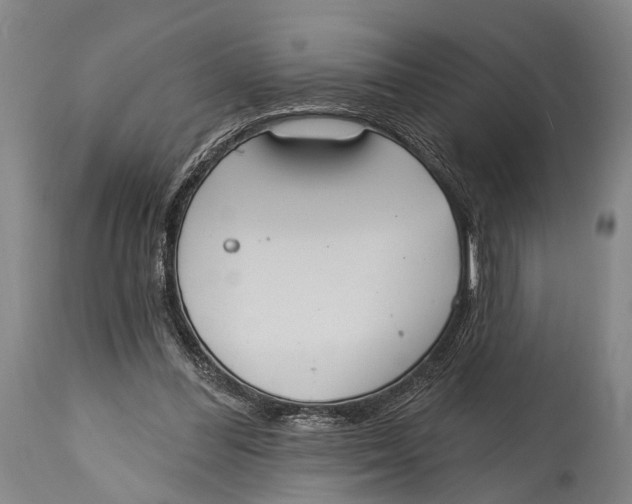 X0000115070300200911171136