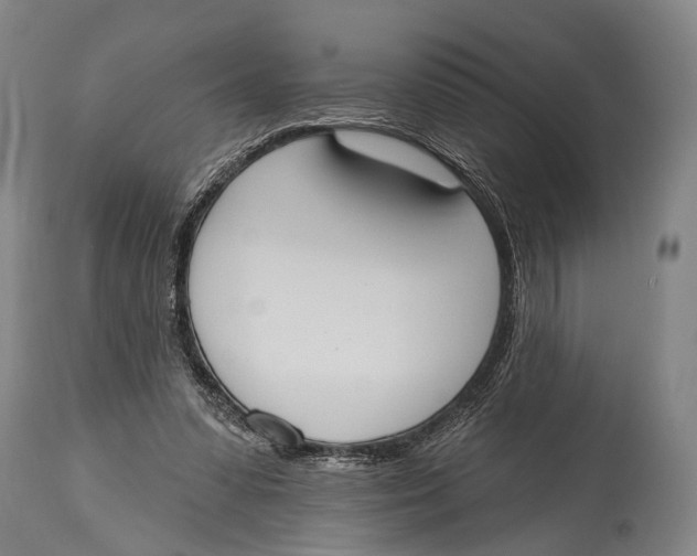 X0000115070303200911171136