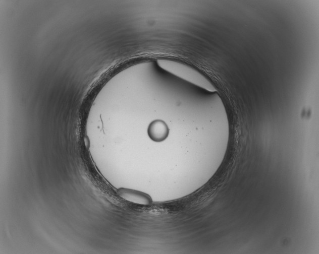 X0000115070304200911171136