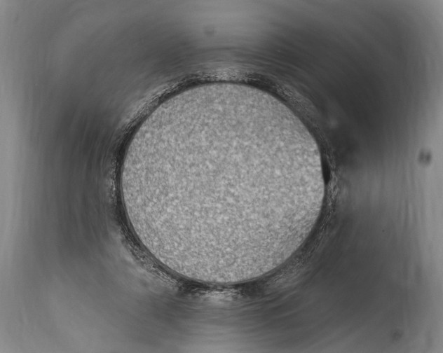 X0000115070306200911171136