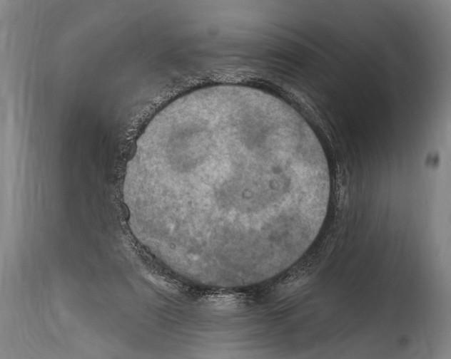X0000115070307200911171136