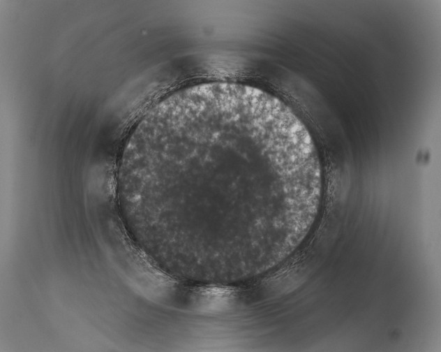 X0000115070313200911171136
