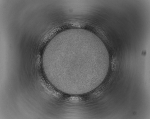 X0000115070314200911171136