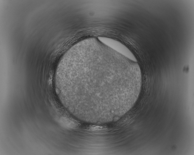 X0000115070315200911171136