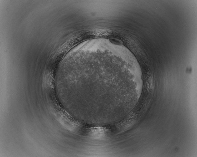 X0000115070316200911171136