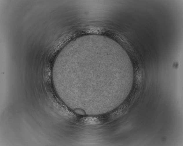 X0000115070322200911171136