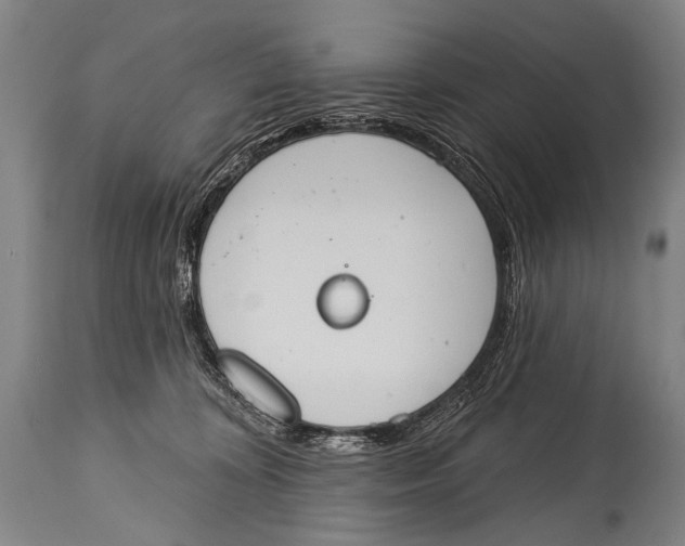 X0000115070324200911171136