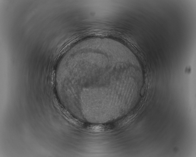 X0000115070325200911171136