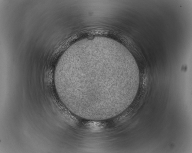 X0000115070326200911171136