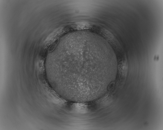 X0000115070327200911171136
