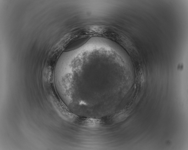 X0000115070328200911171136