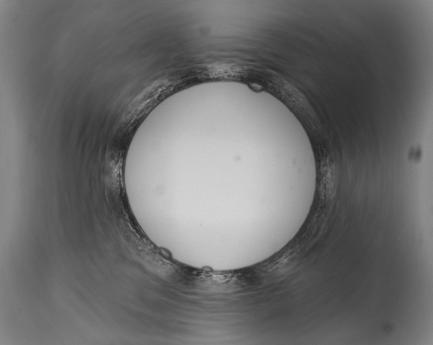 X0000115070329200911171136