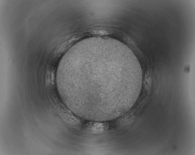 X0000115070330200911171136
