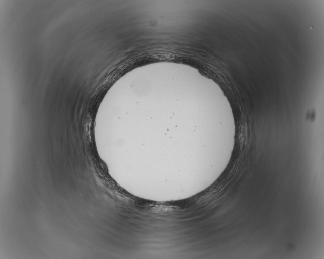 X0000115070332200911171136