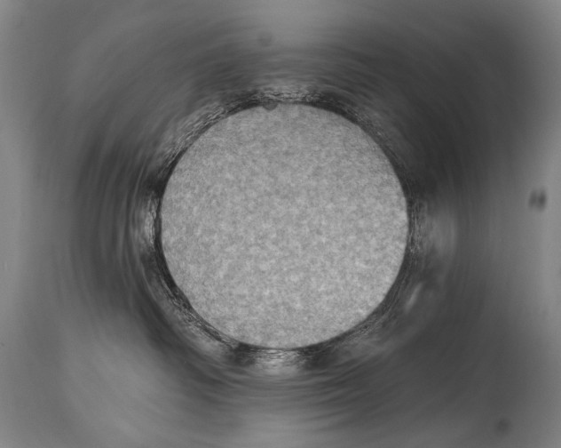 X0000115070334200911171136