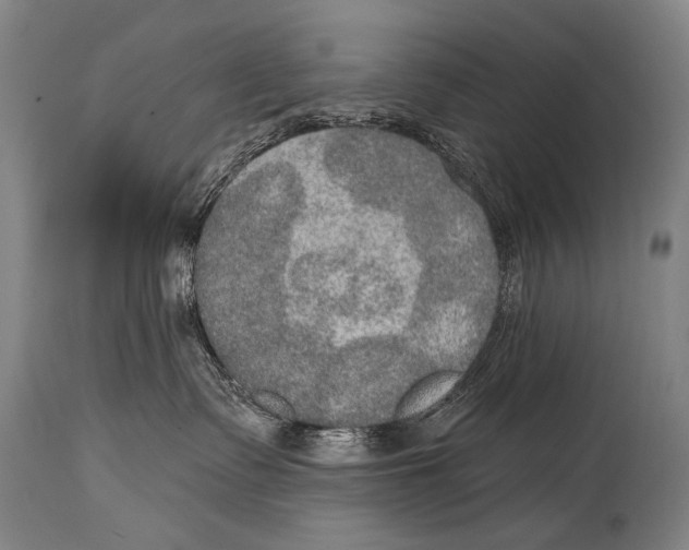 X0000115070335200911171136