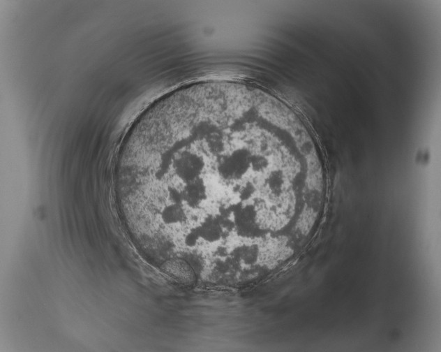 X0000115070337200911171135