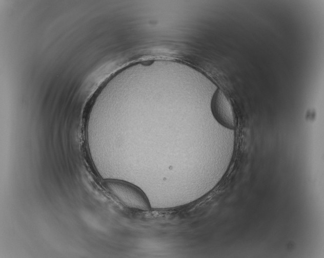X0000115070338200911171135