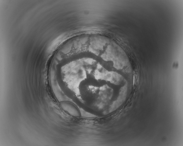 X0000115070339200911171135