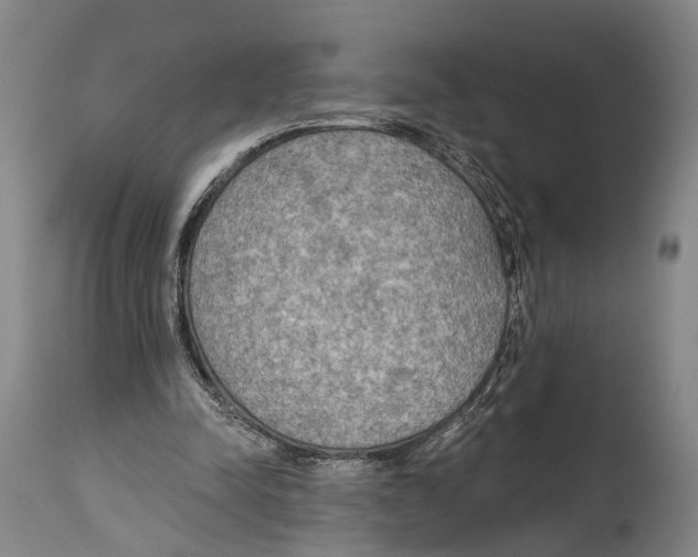 X0000115070342200911171135