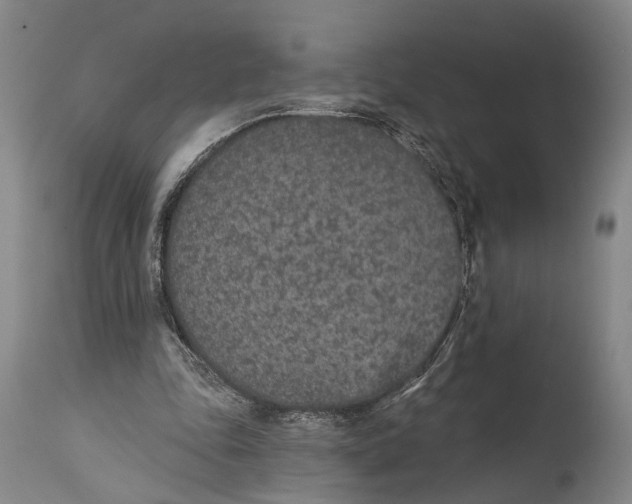 X0000115070343200911171135