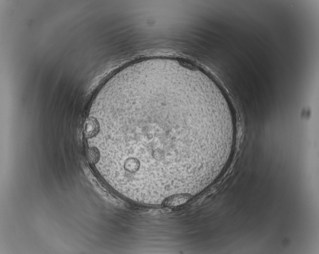 X0000115070345200911171135
