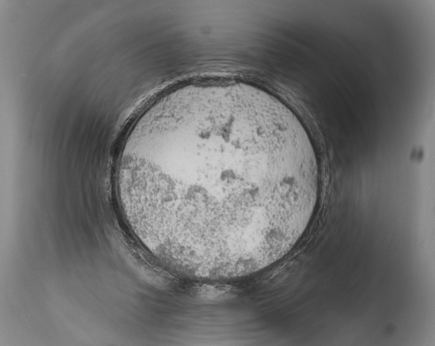 X0000115070346200911171135