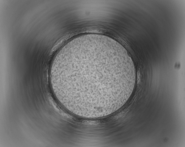 X0000115070349200911171135