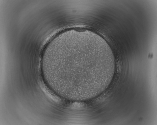 X0000115070350200911171135