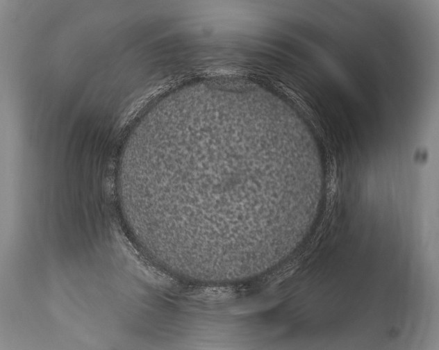 X0000115070353200911171135