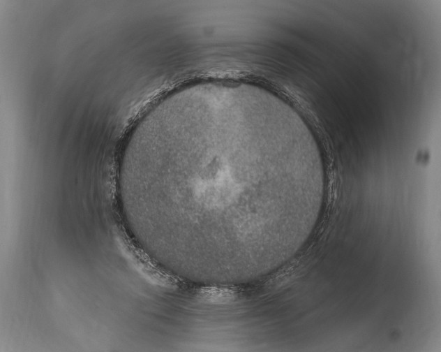 X0000115070354200911171135
