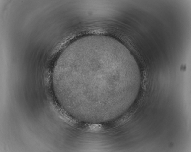 X0000115070355200911171135