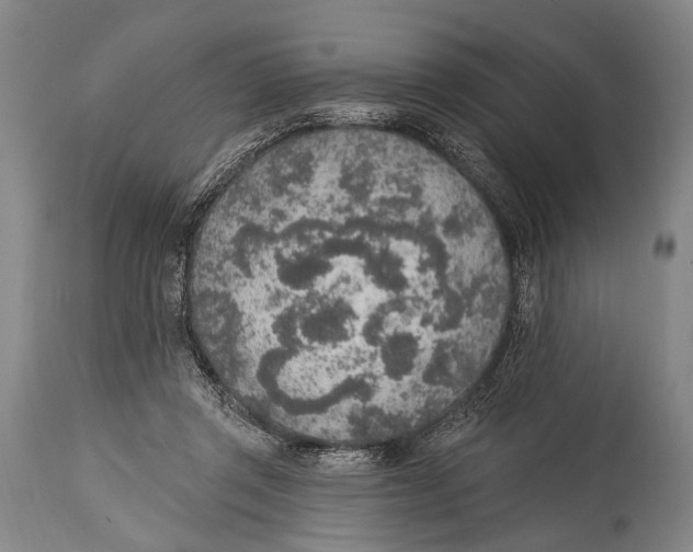 X0000115070357200911171135