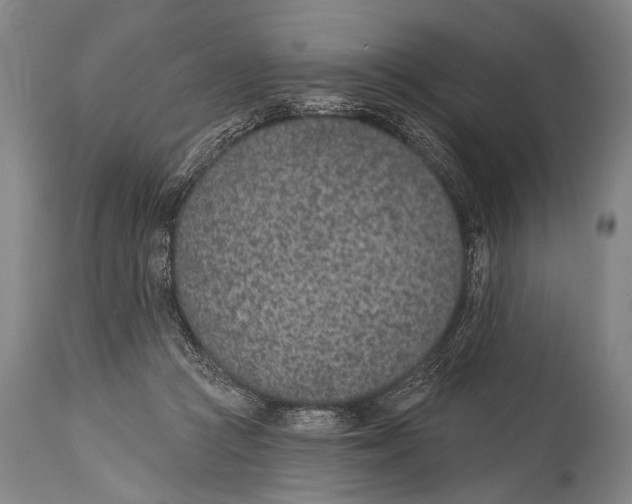 X0000115070361200911171135