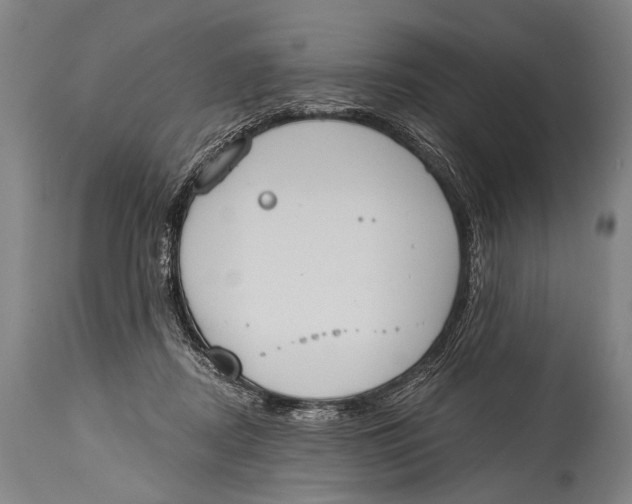 X0000115070362200911171135