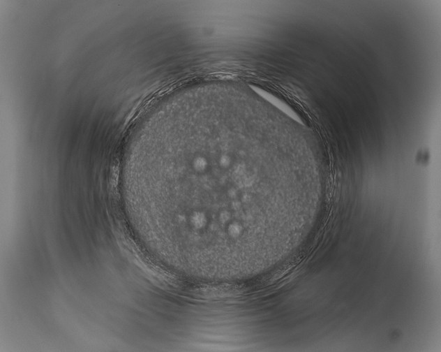 X0000115070365200911171135