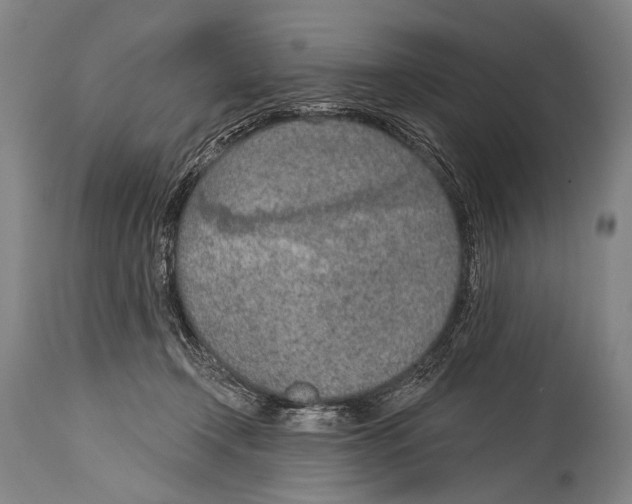 X0000115070366200911171135