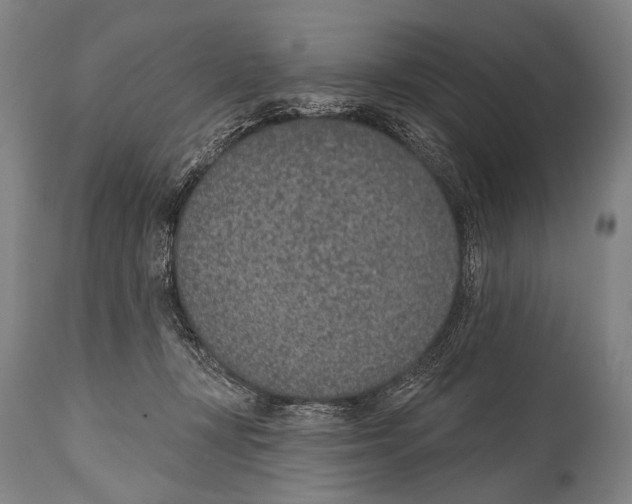 X0000115070367200911171135