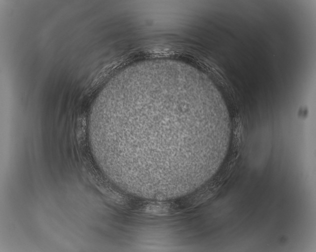 X0000115070369200911171135