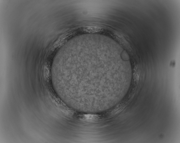 X0000115070371200911171135