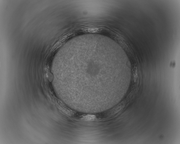 X0000115070374200911171135