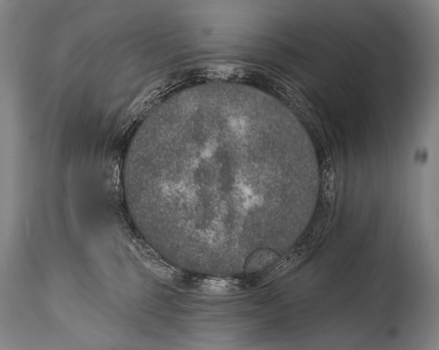 X0000115070375200911171135