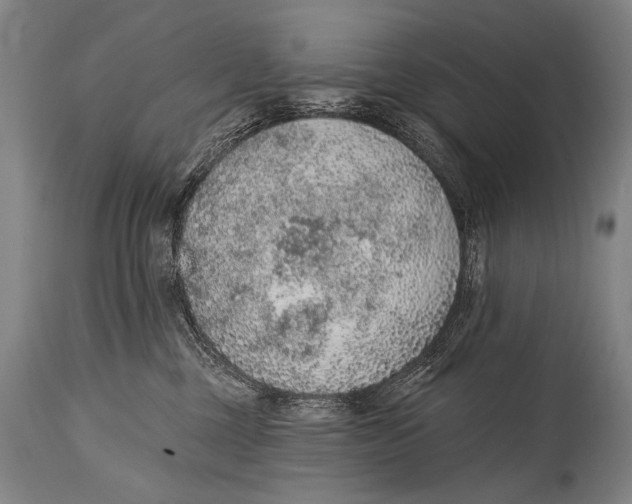 X0000115070377200911171135