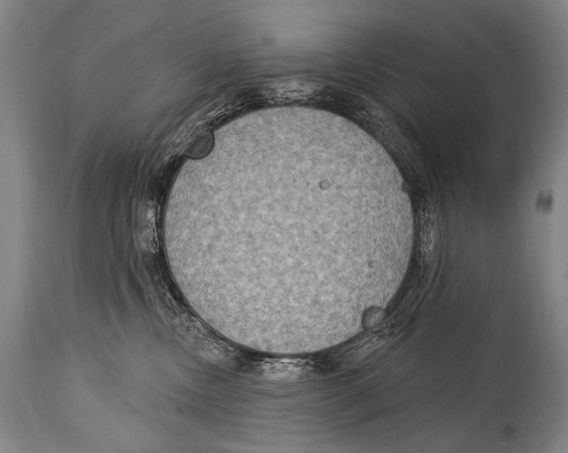 X0000115070378200911171135