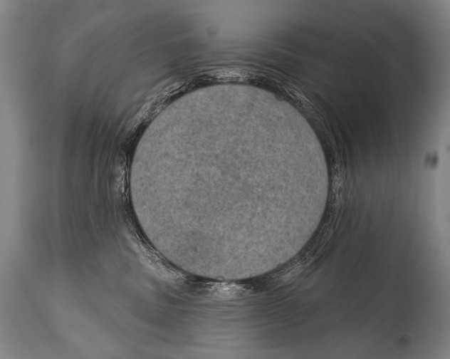X0000115070379200911171135