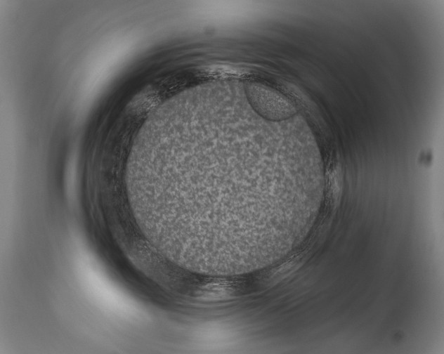 X0000115070381200911171135