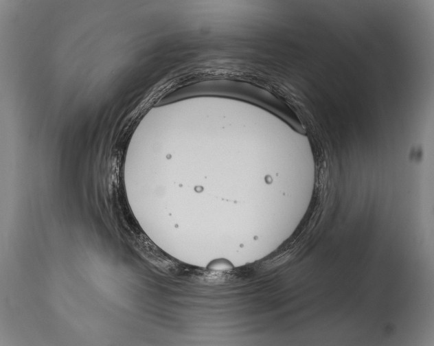 X0000115070382200911171135