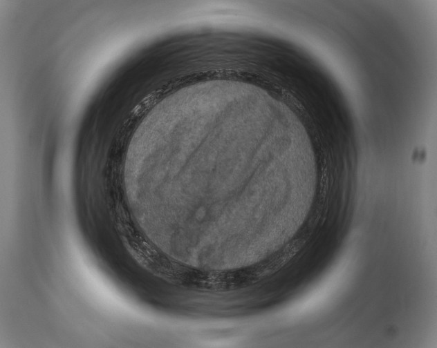 X0000115070383200911171135