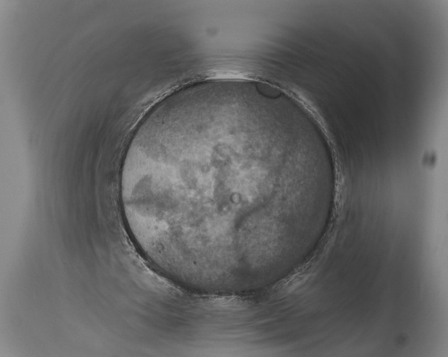 X0000115070385200911171135